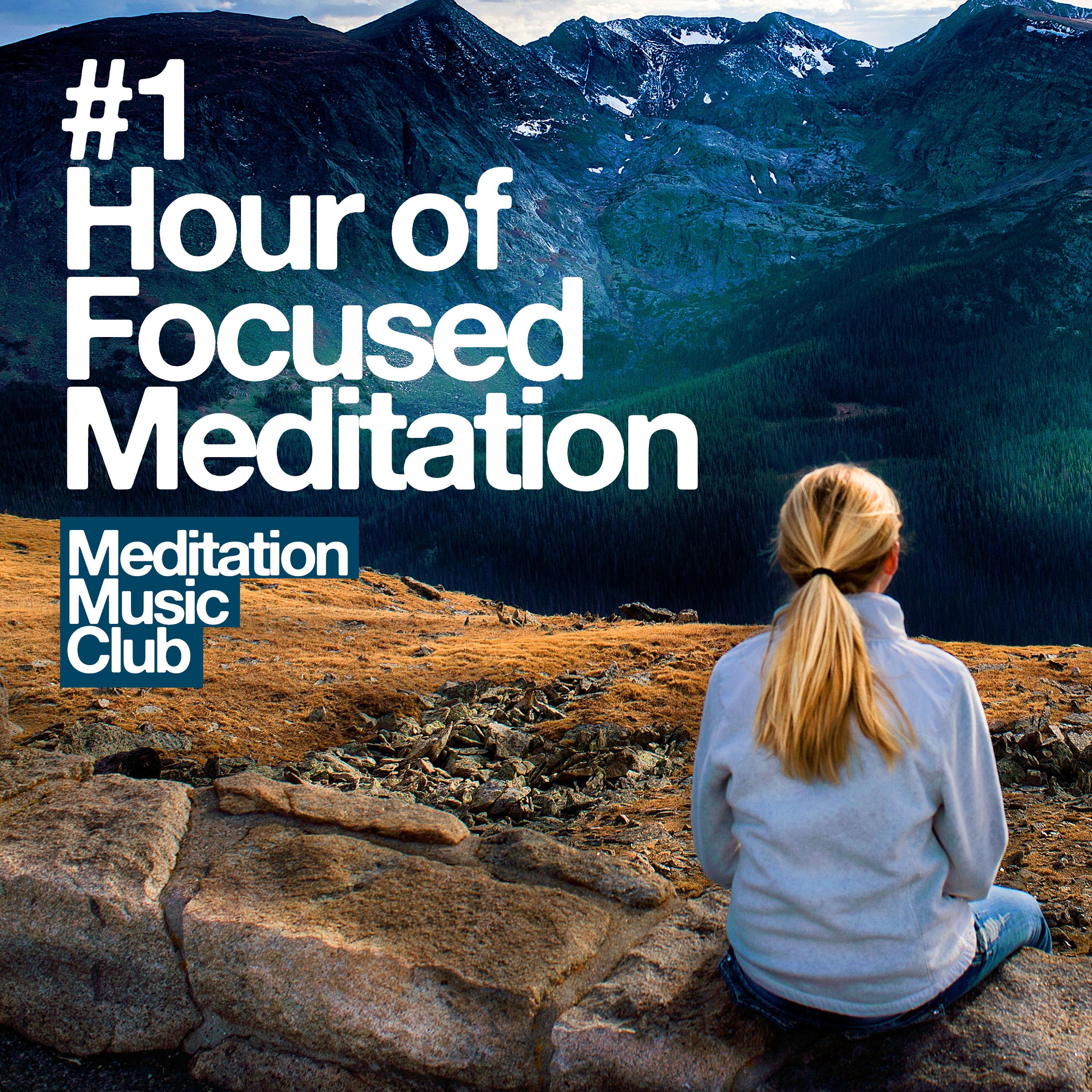 Meditation Music Club
