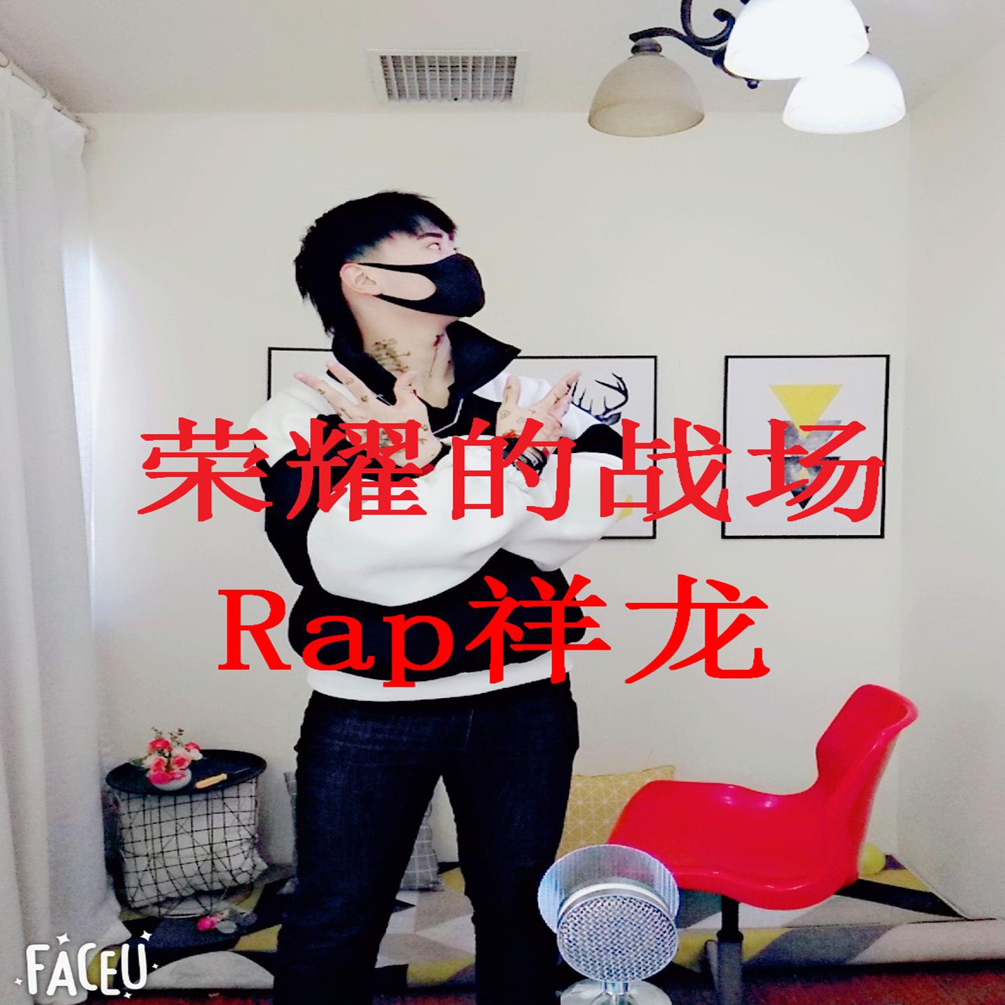 荣耀的战场封面