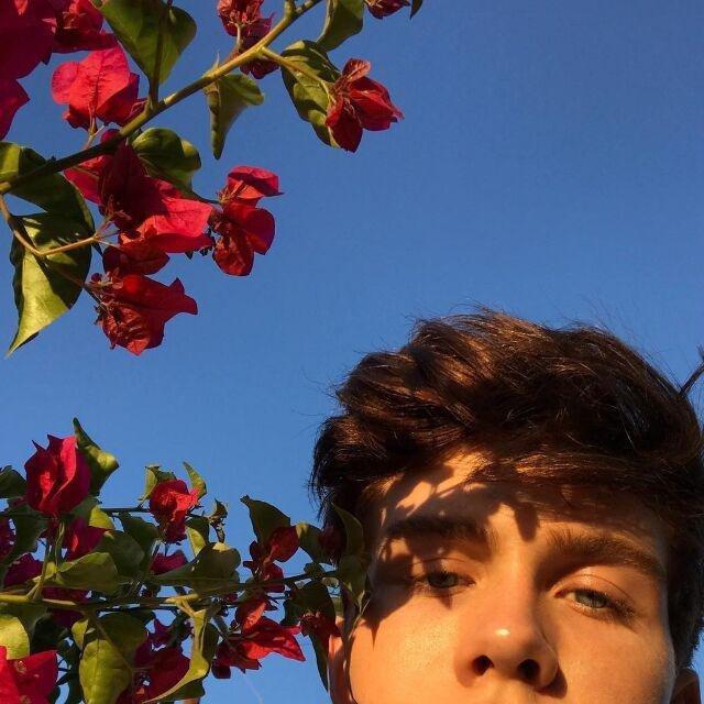 好听的英文免费歌曲