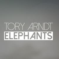 Tory Arndt