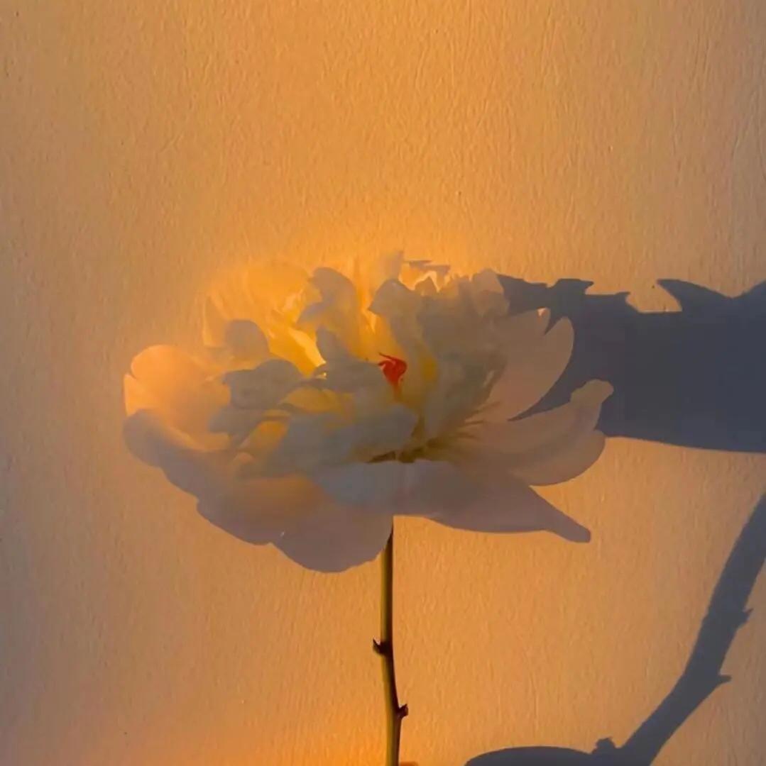 下个季节很干净没有故事没有你