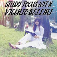 Study Focus With Vicenzo Bellini