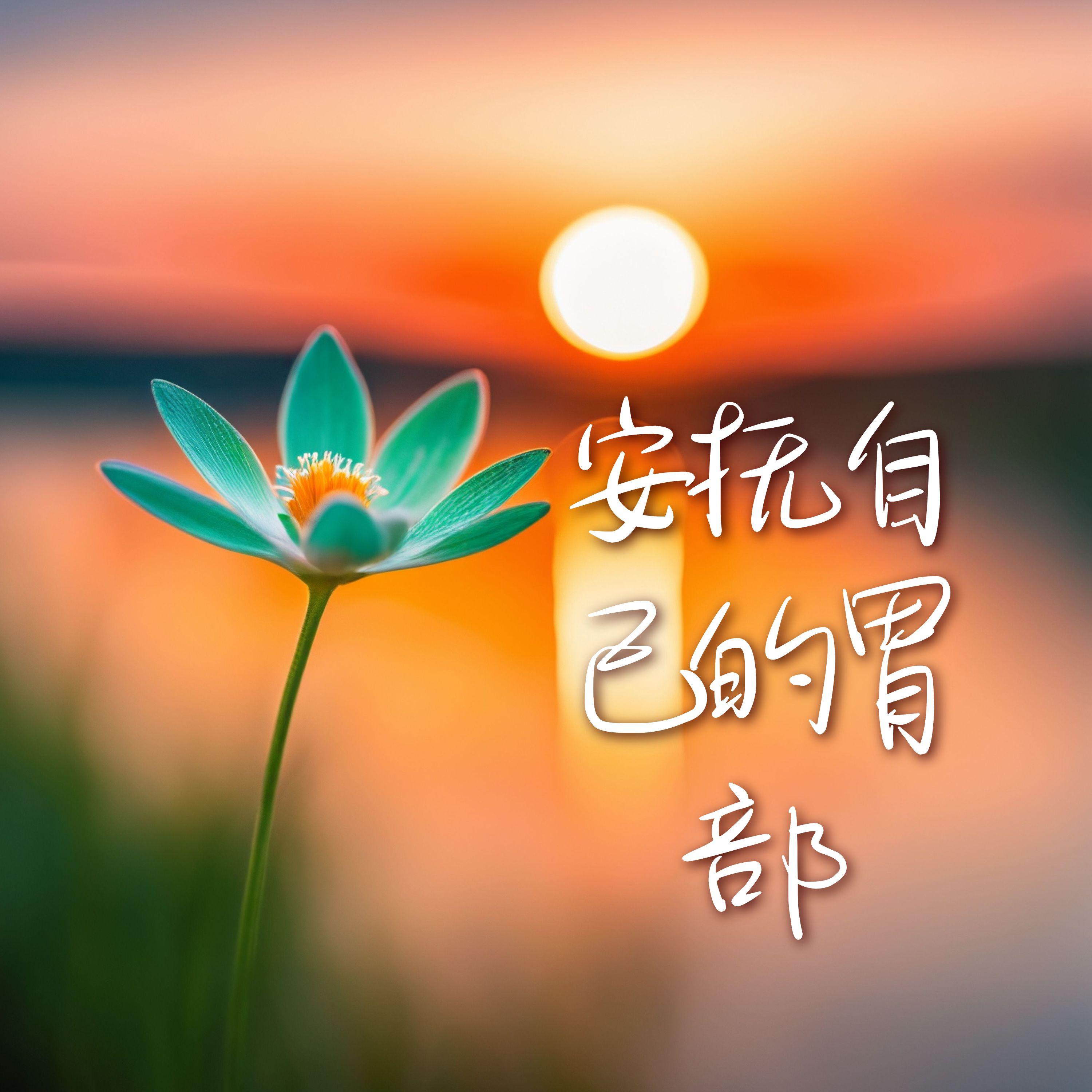 抚慰心灵封面