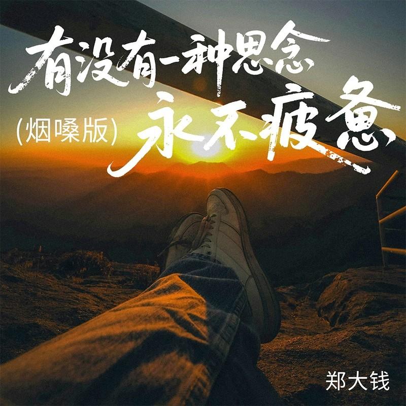 有没有一种思念永不疲惫 (烟嗓版)封面