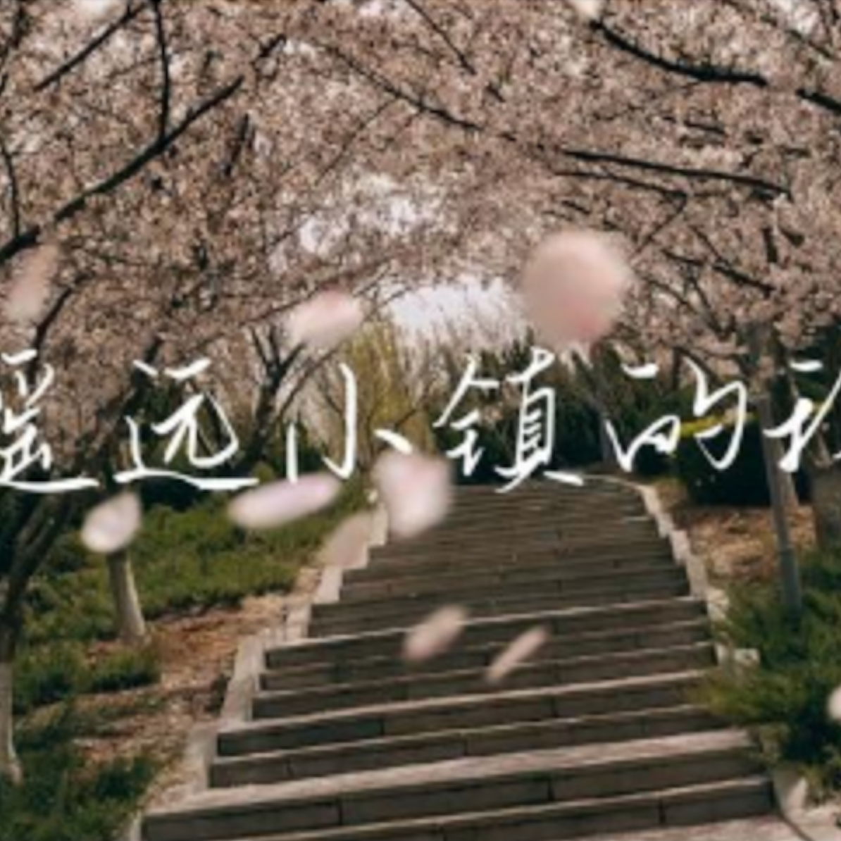 遥远小镇的我-诗岸封面