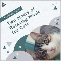 2 Hours of Relaxing Music for Cats