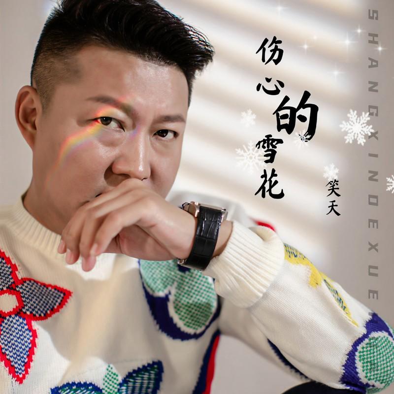 伤心的雪花(DJ版)封面