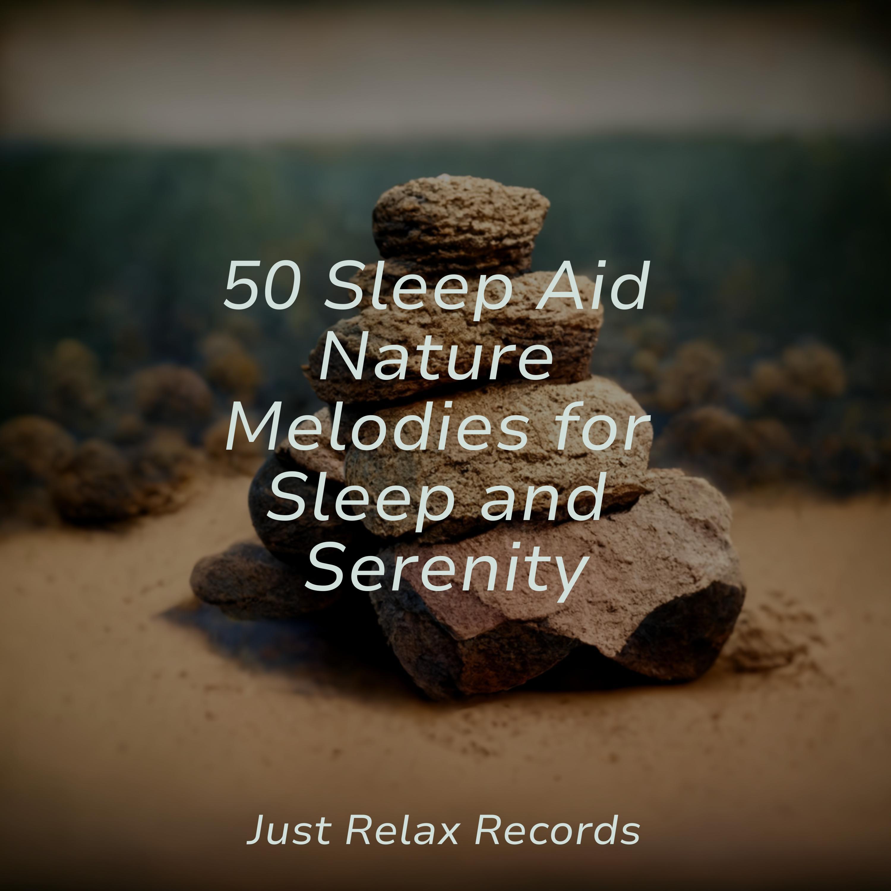 4.  Relaxing Flight Music: Calm & Soothing Sounds - 5x5qvbe