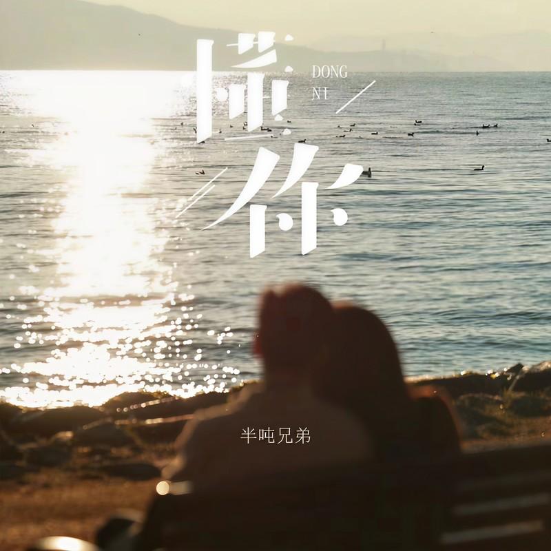 懂你 (烟嗓版伴奏)封面