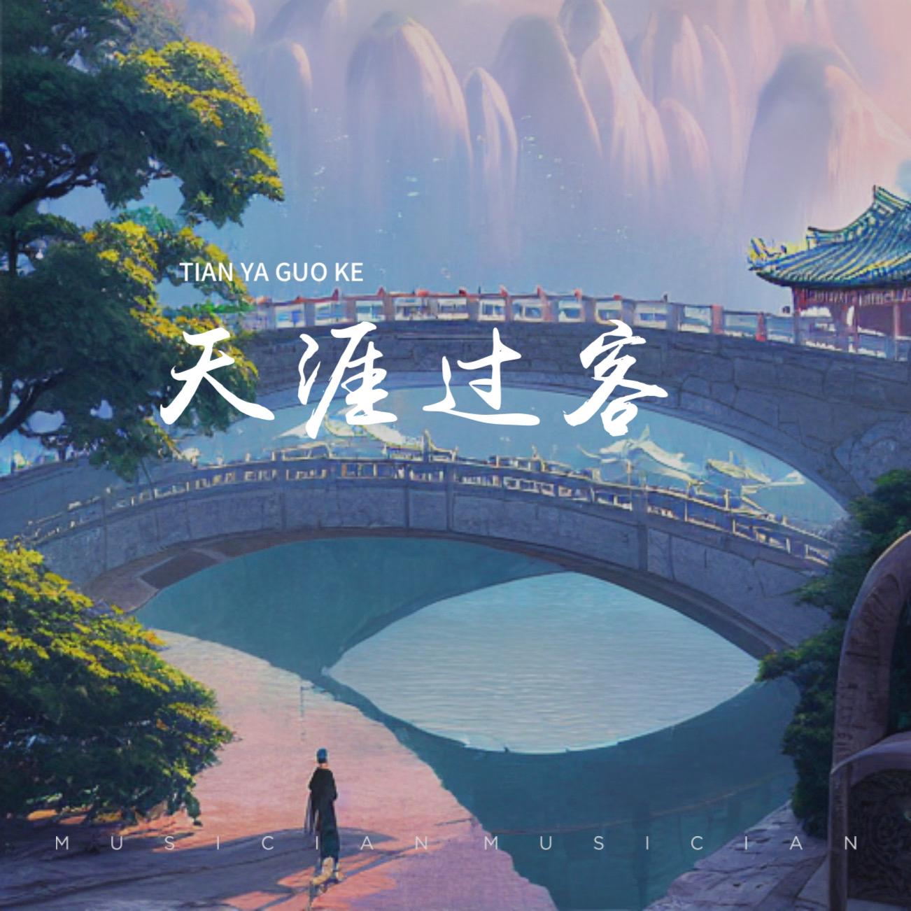 天涯过客封面