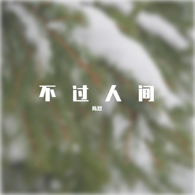 不过人间（原唱）封面