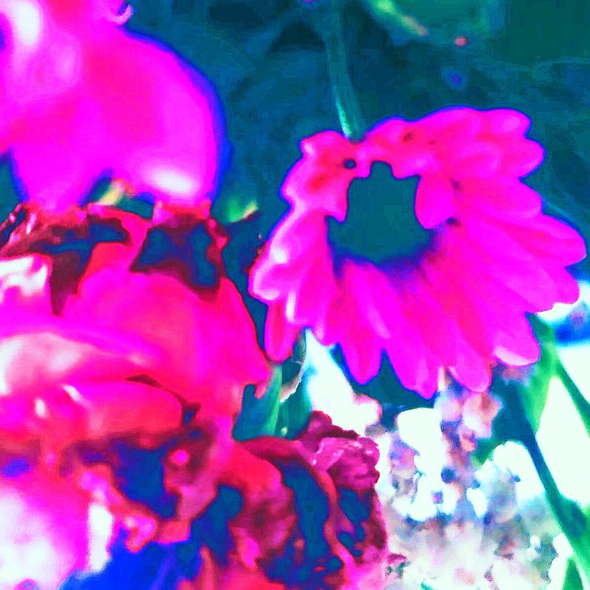 Chloe库洛伊-虹 (Xyanide Remix)