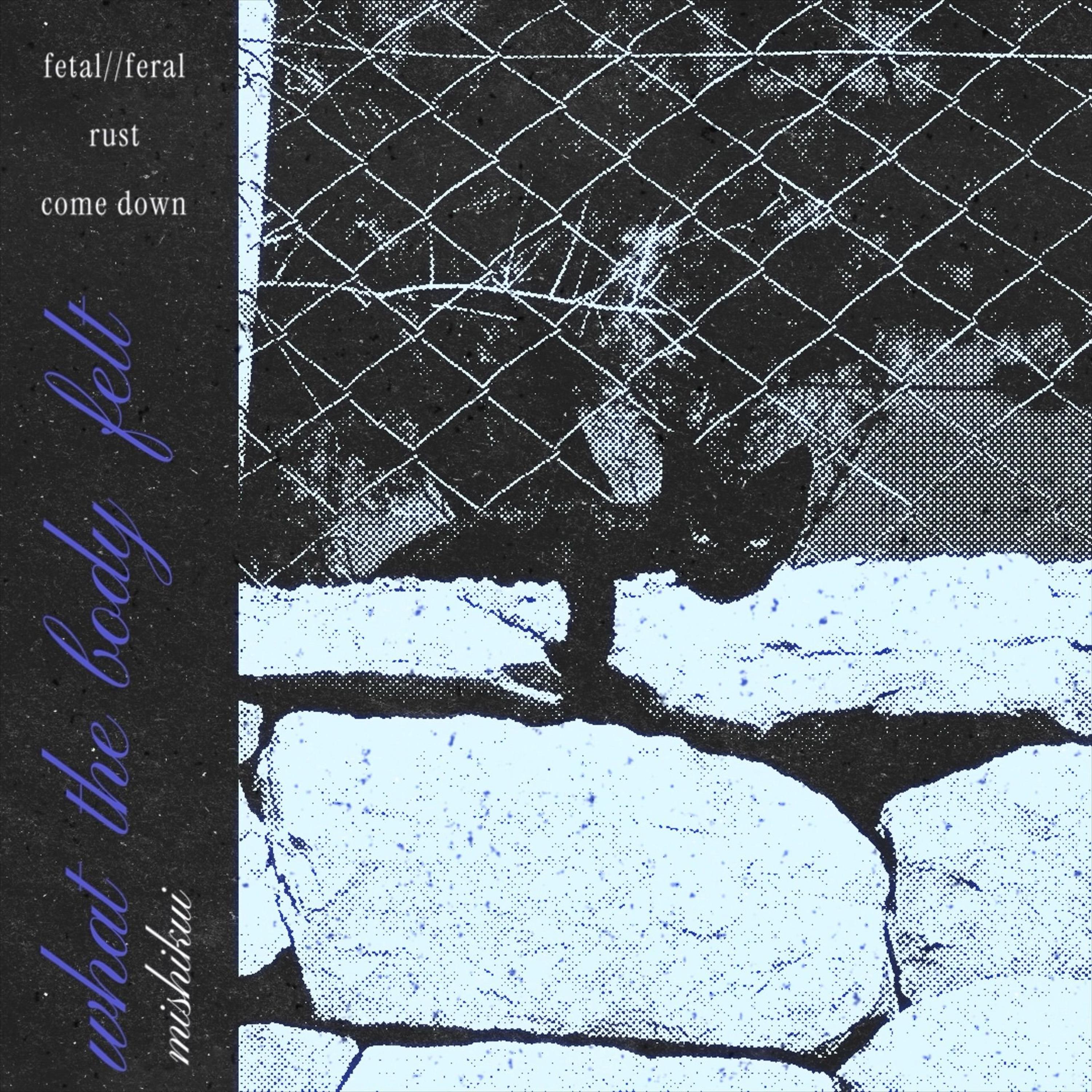 come down (feat. fanchon)