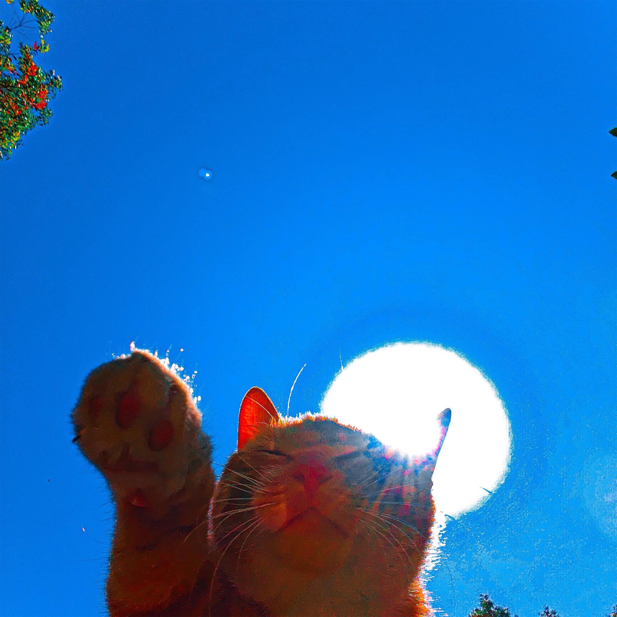 when the sky rememberIt's blue