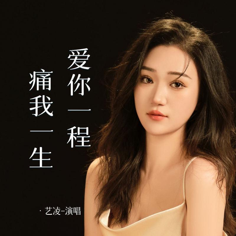 爱你一程 痛我一生 (DJ豪大大版)封面