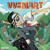 VVSMART