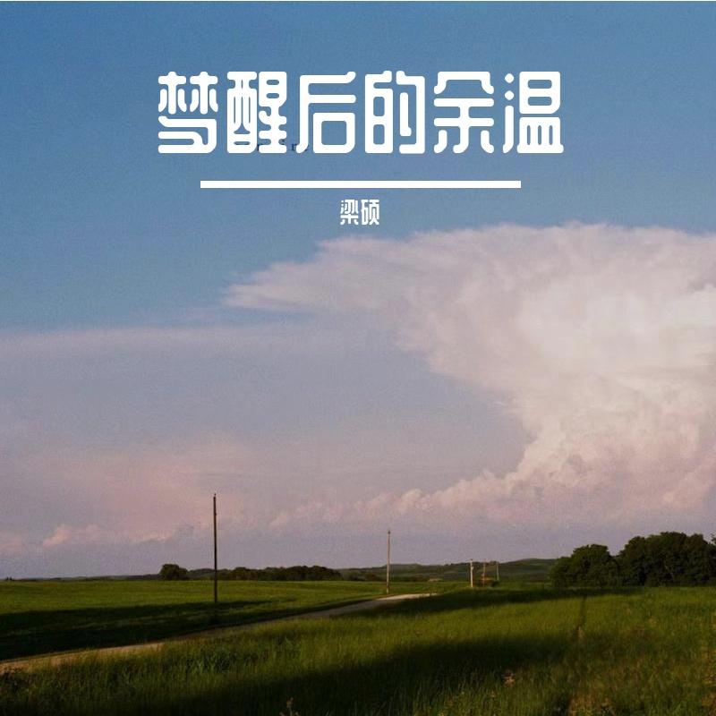 风带走的温柔封面
