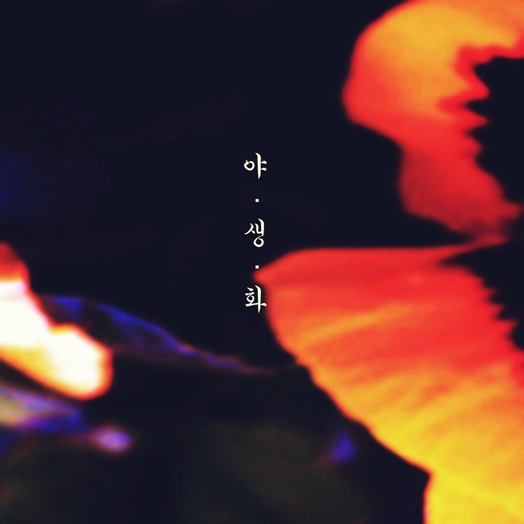 야생화封面