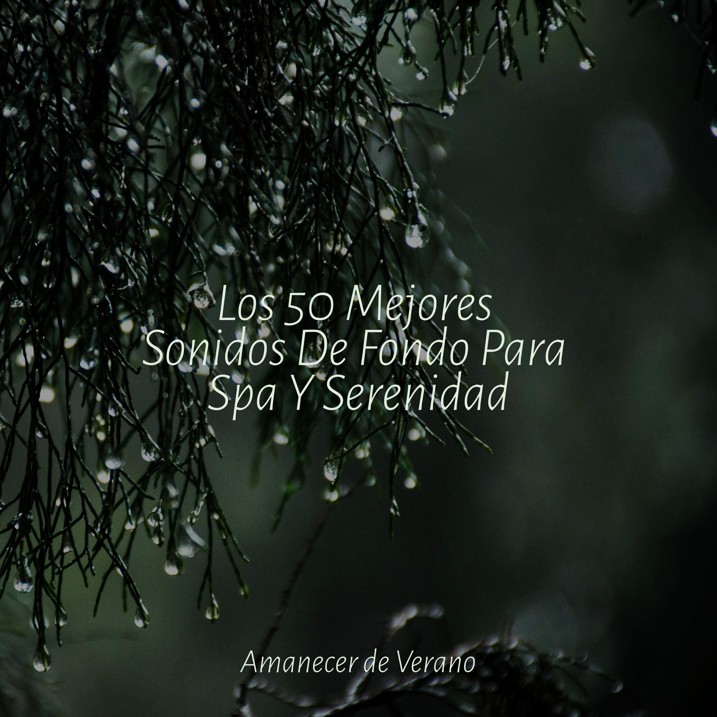 Viaje de Reminiscencia Iluminado por el Sol