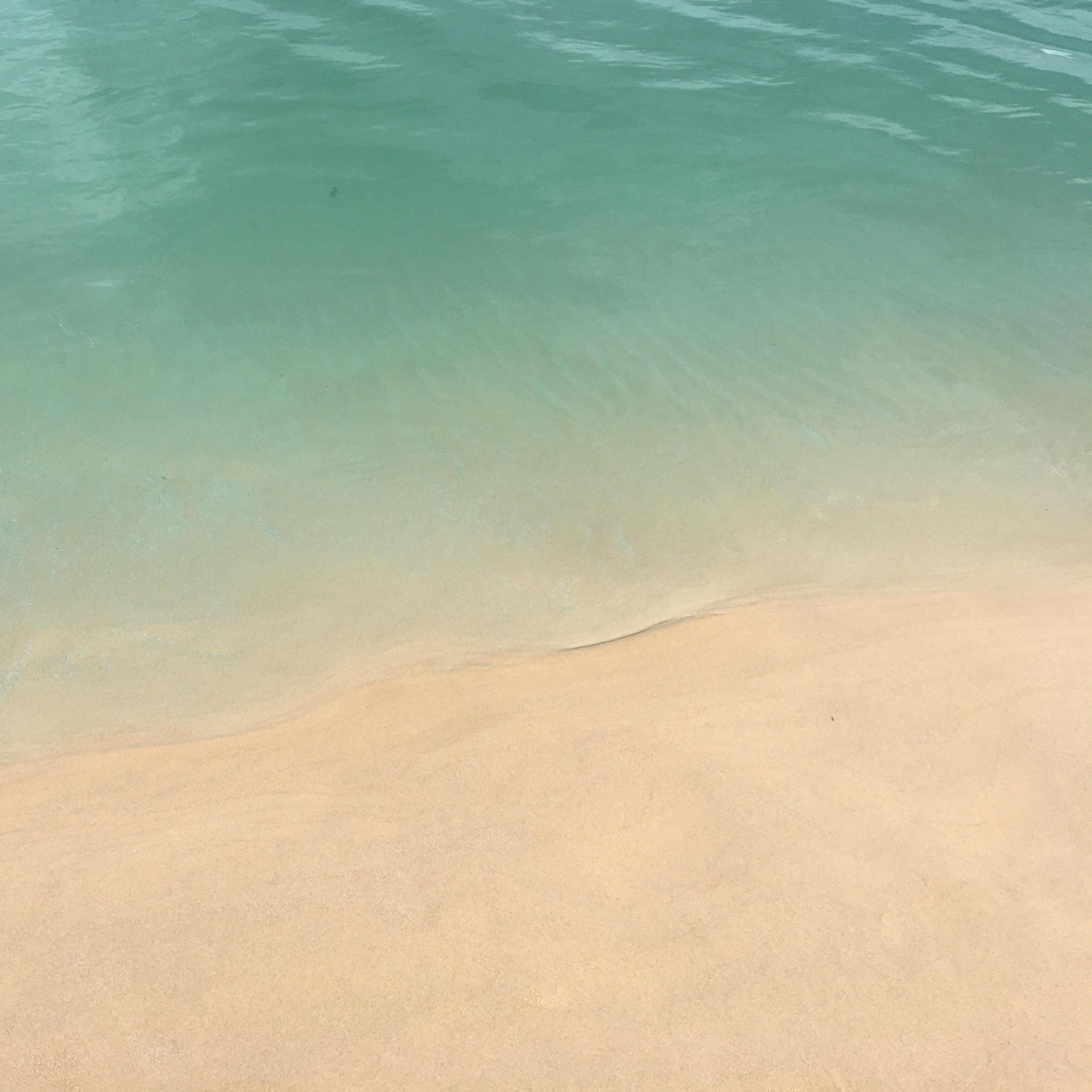 You're a tree and I'm a boat