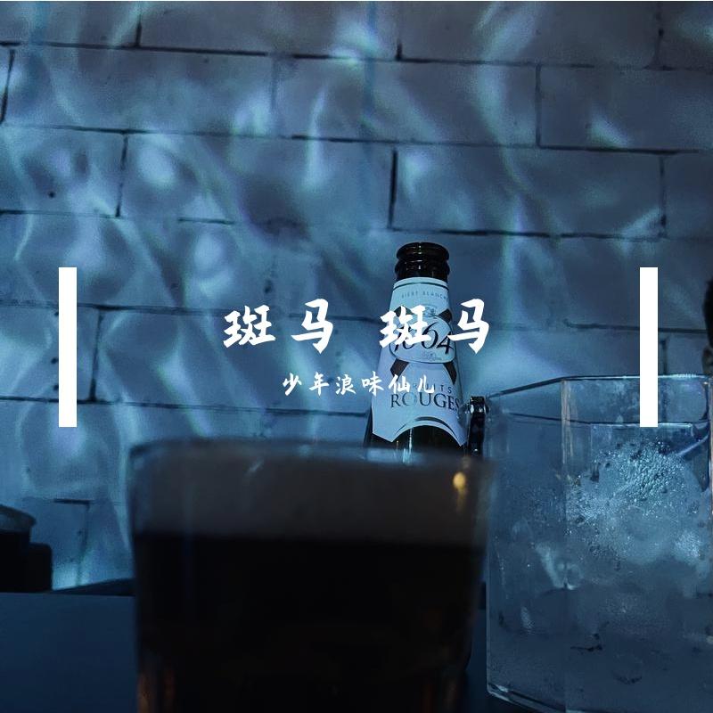 斑马斑马（Cover宋冬野） - 少年浪味仙儿封面