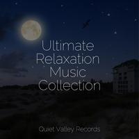 Ultimate Relaxation Music Collection