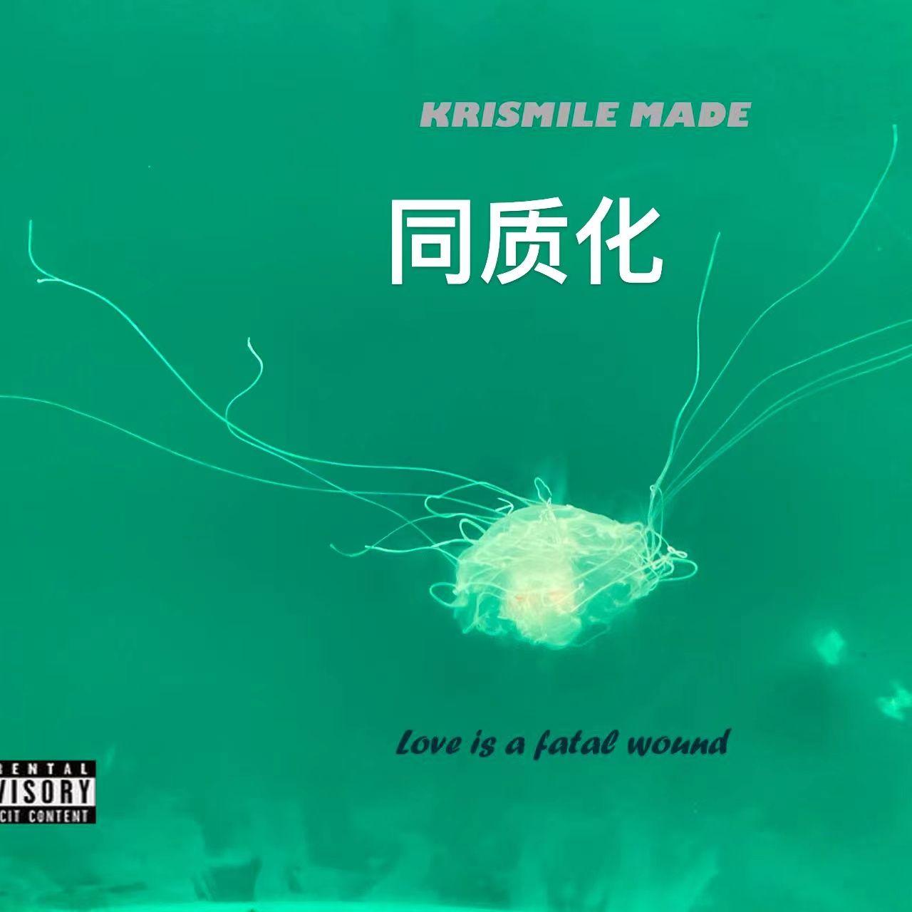 决定 （prod.wrbiii）封面