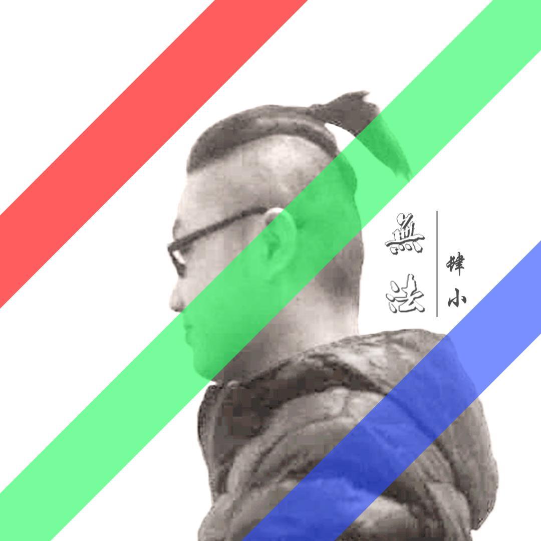 宁静而雅封面