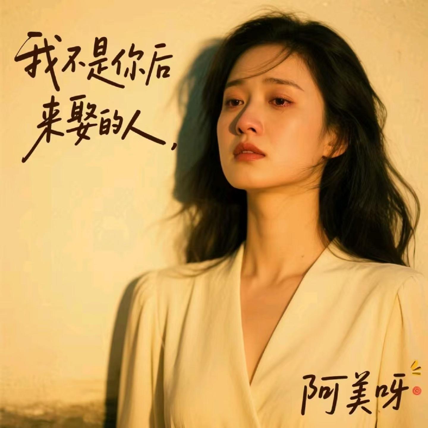 我不是你后来娶的人 (烟嗓版)封面