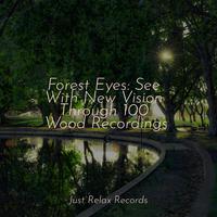 Forest Eyes: See With New Vision Through 100 Wood Recordings