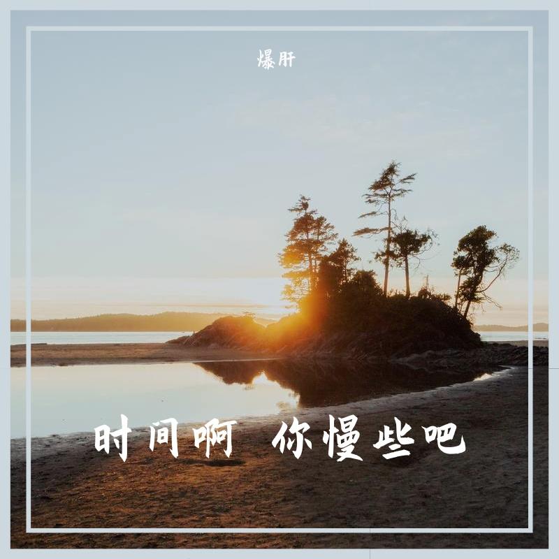时间啊 你慢些吧封面
