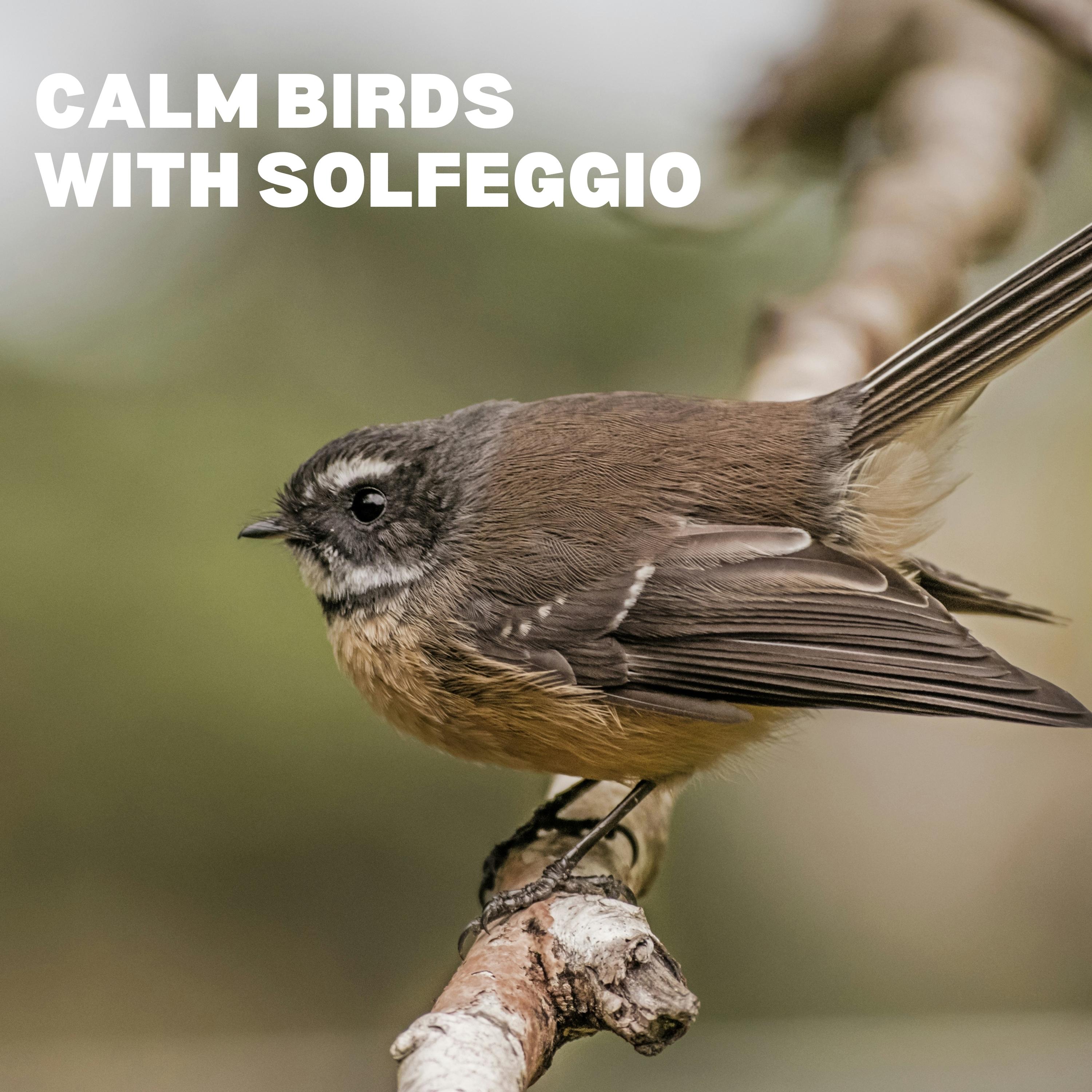 Solfeggio Skylark Symphony