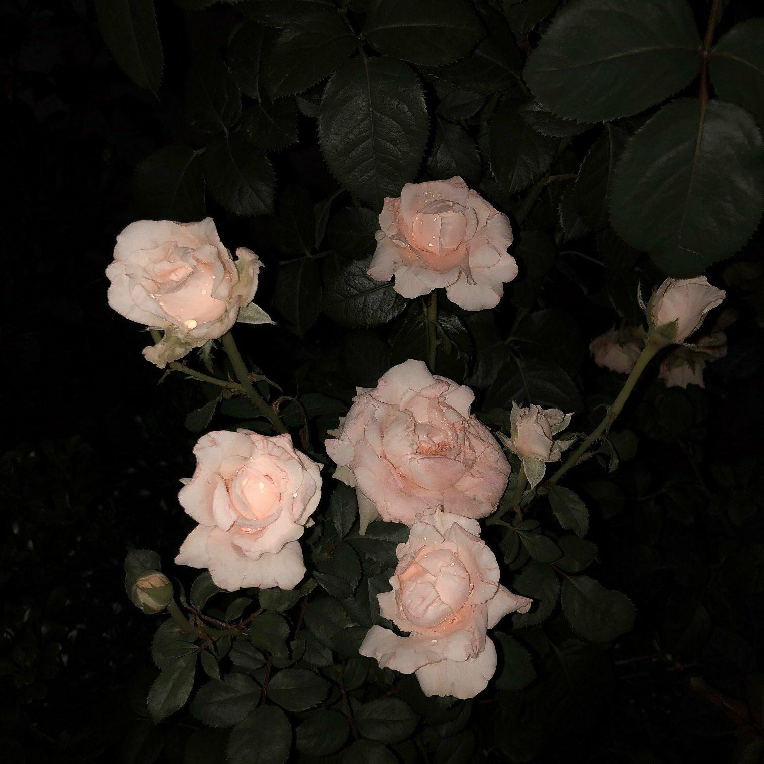 lofi hiphop 蒸汽波 beat（不接受投稿）