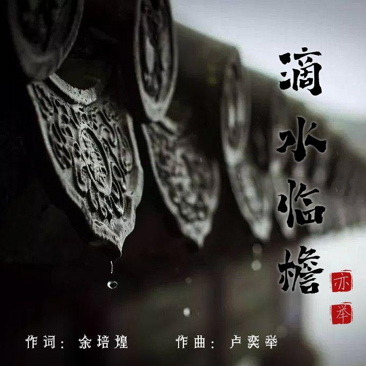青葱岁月封面