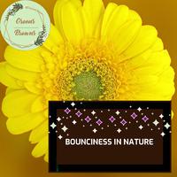 Bounciness in Nature