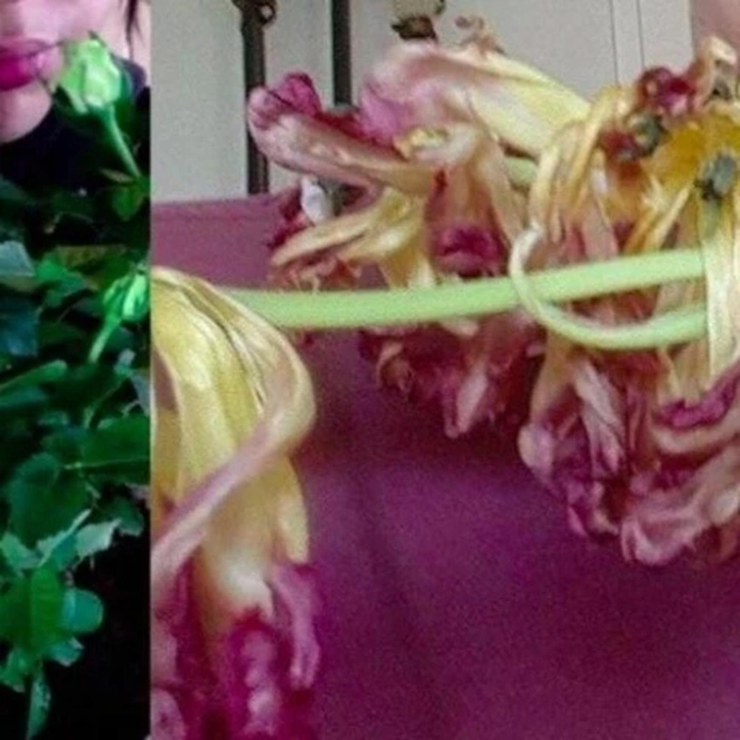 water the flowers_faeriey_water the flowers | 在线播放_water the flowers歌词_water the flowers下载 | 网易云音乐