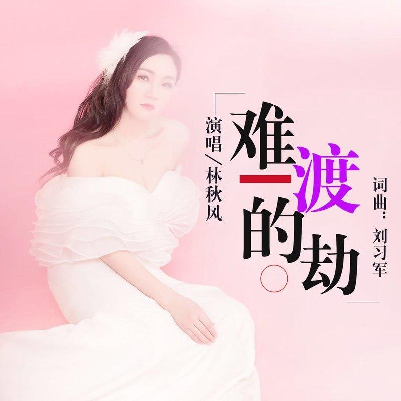 难渡的劫封面