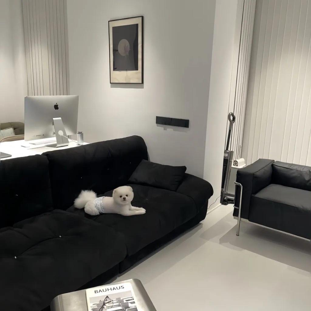 适合早上/安静的音乐系列