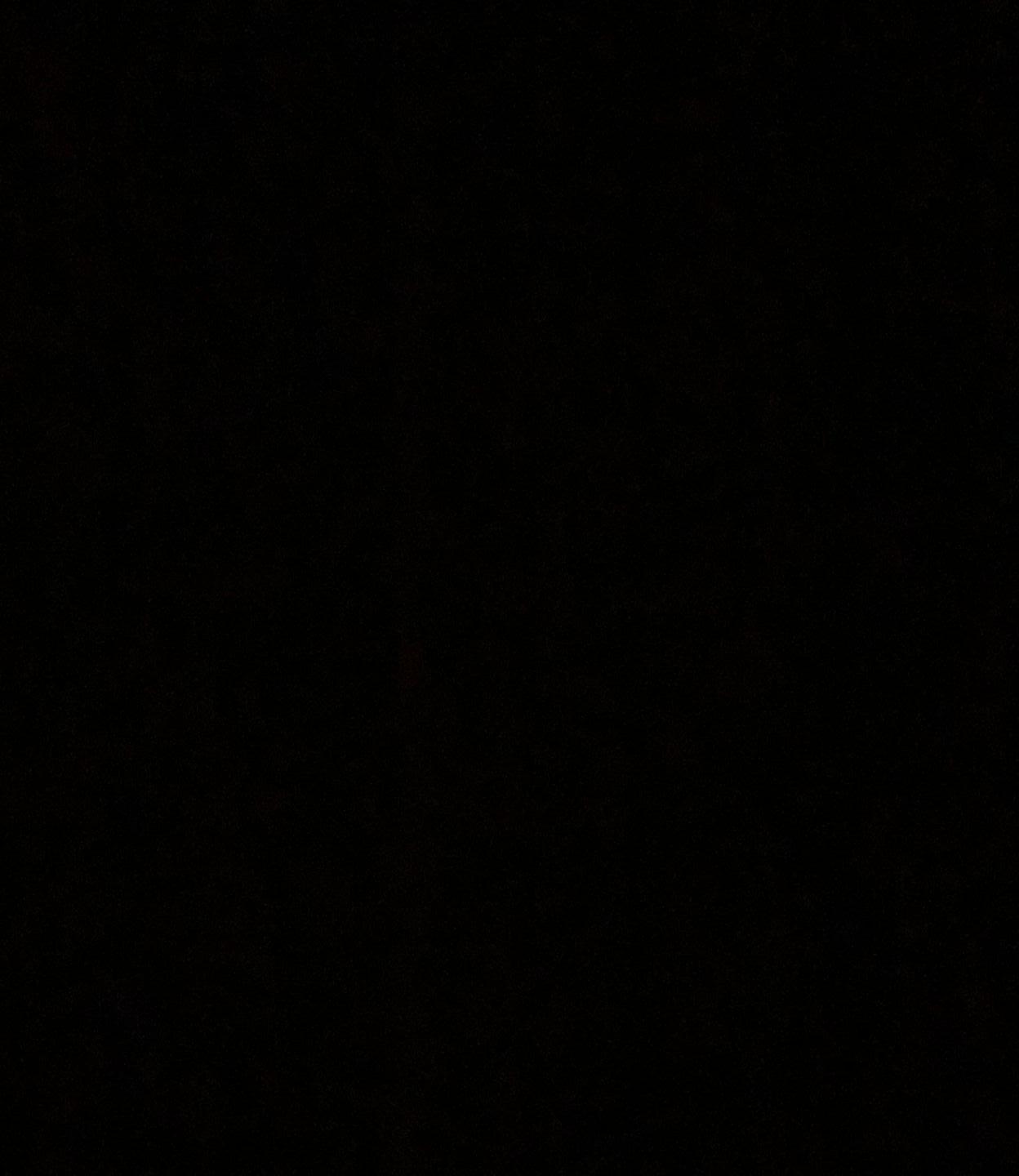 ..........................