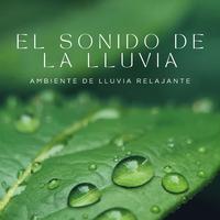 El Sonido De La Lluvia: Ambiente De Lluvia Relajante