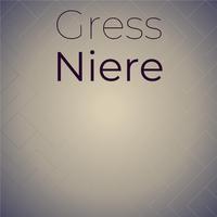 Gress Niere