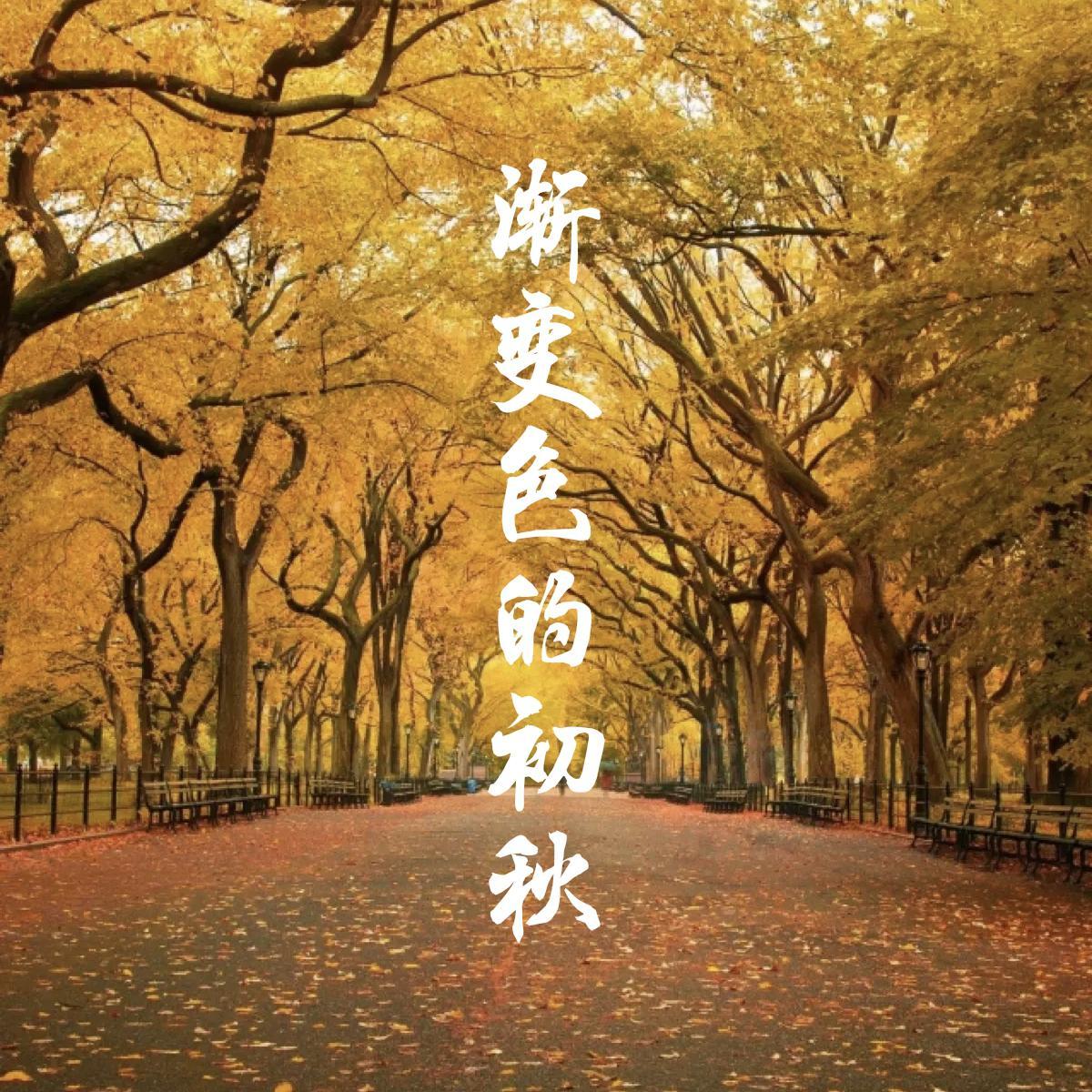 和声伴奏_1封面