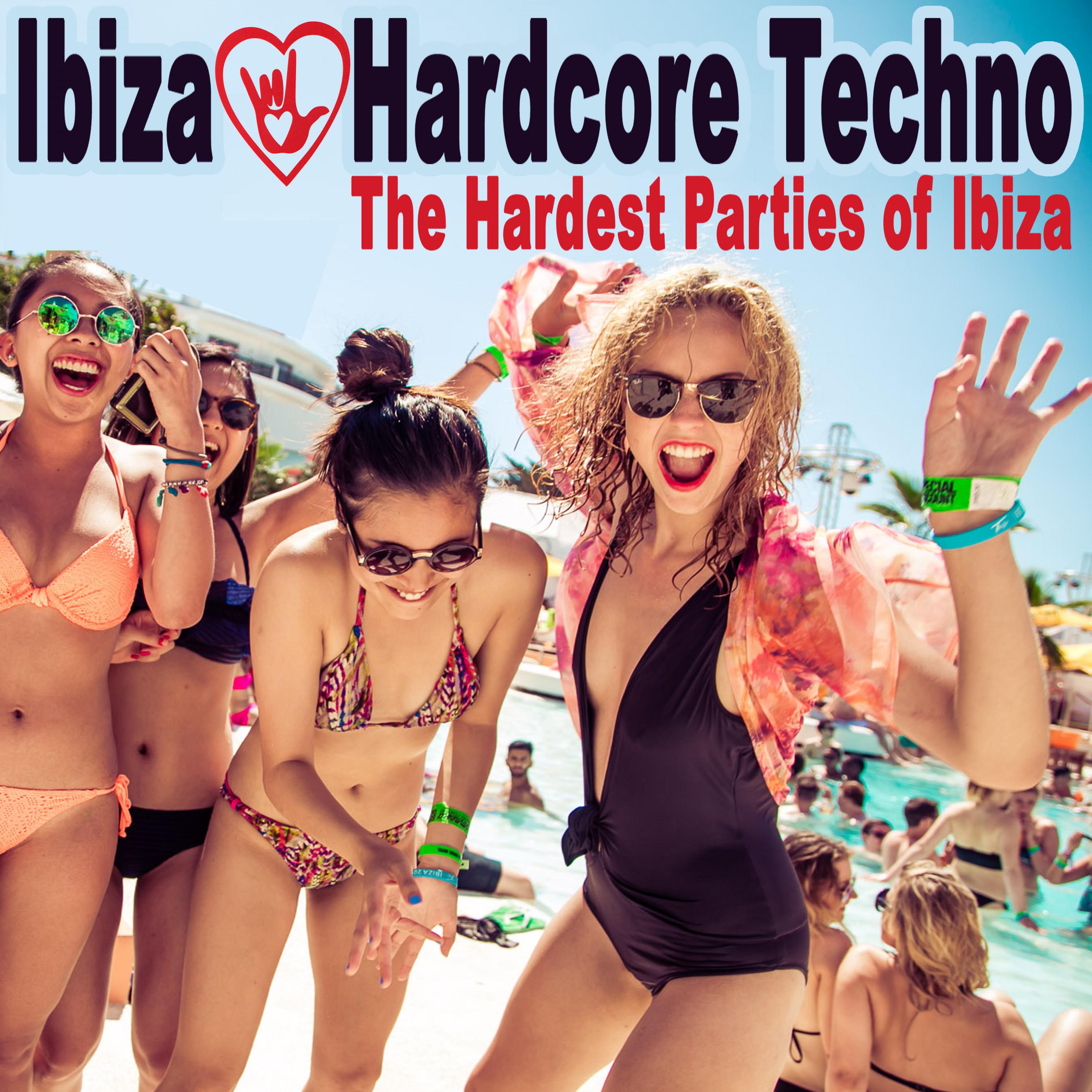 歌曲名《Violator》，由 DJ Felamanski 演唱，收录于《Ibiza Loves Hardcore Techno - The Hard...