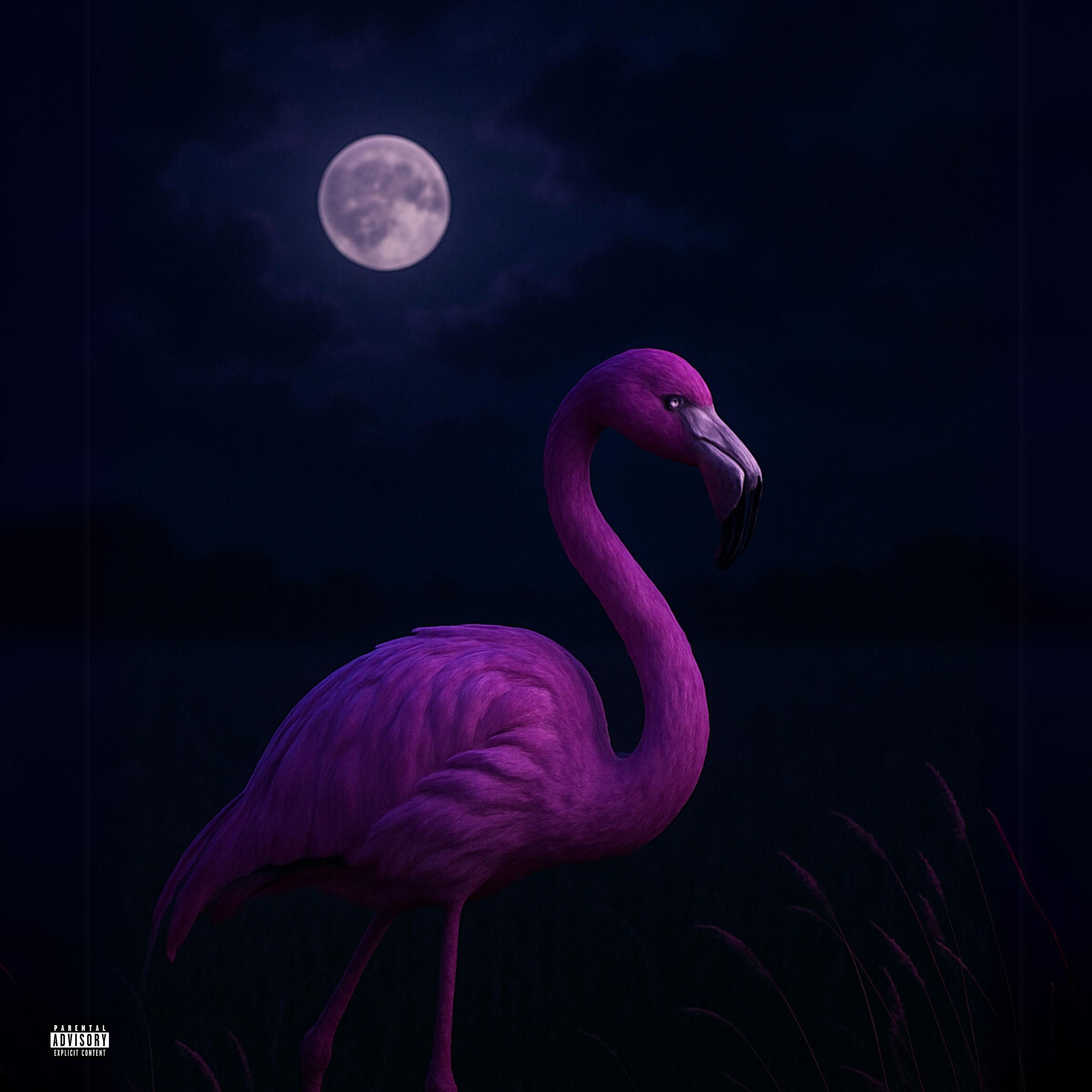 Childish Flamingo
