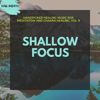 Shallow Focus - Handpicked Healing Music For Meditation And Chakra Healing, Vol. 9