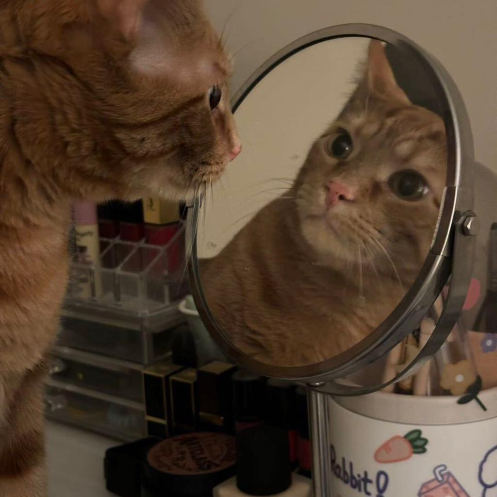 平平无奇人间小太阳