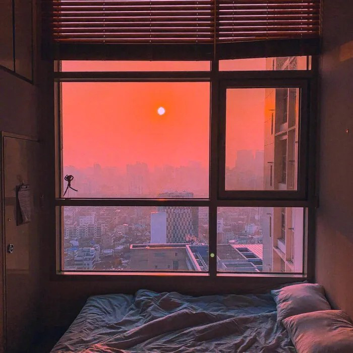 心乱飞封面