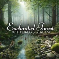 Enchanted Forest with Birds & Stream