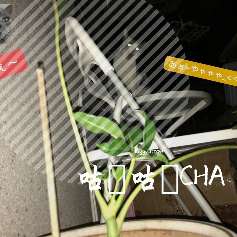 どどぶぶ