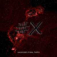 HasX Vibes Final Tapes